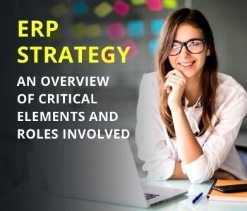 An Overview of Critical Elements and Roles Involved in ERP Implementation erp software implementation