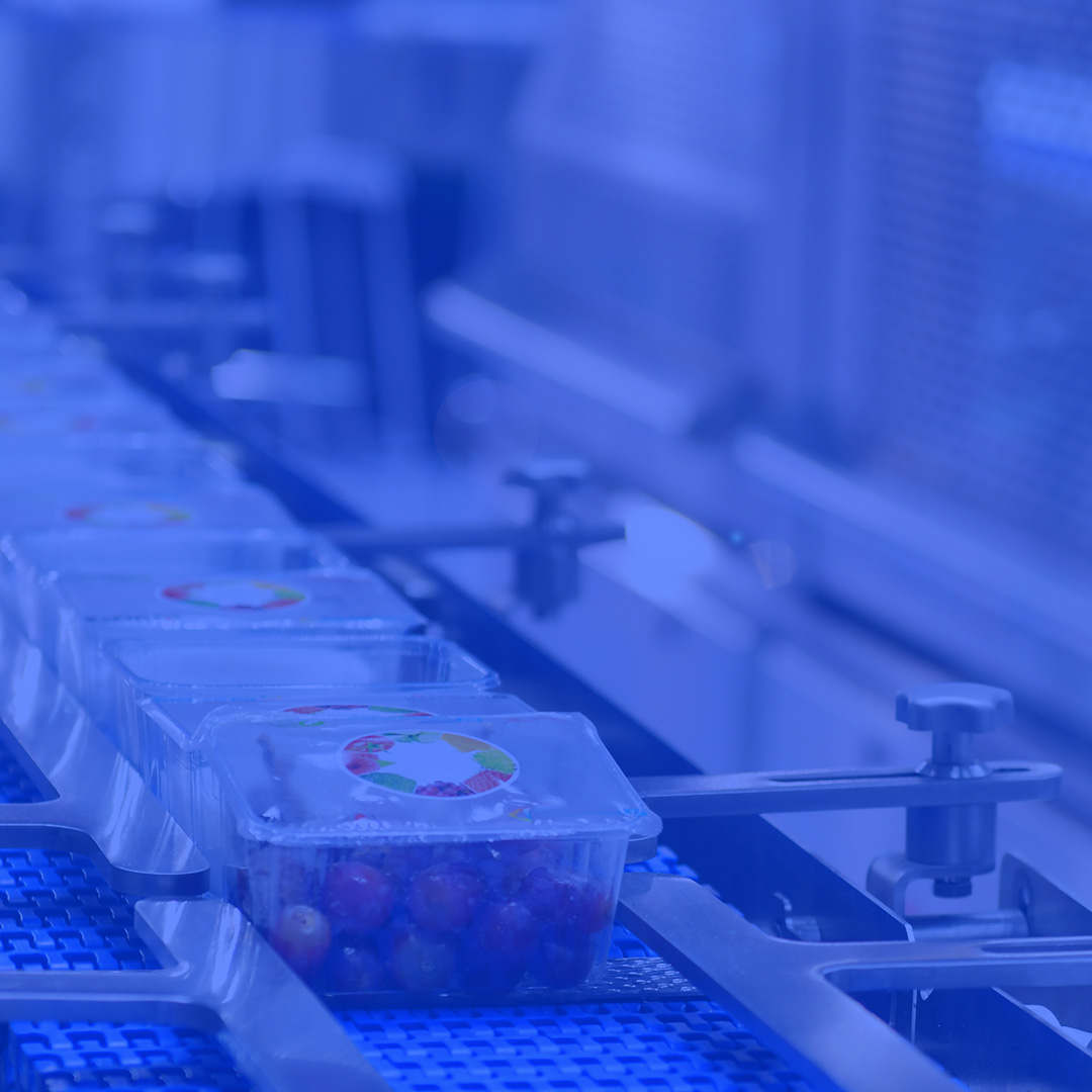 food-and-beverage-category